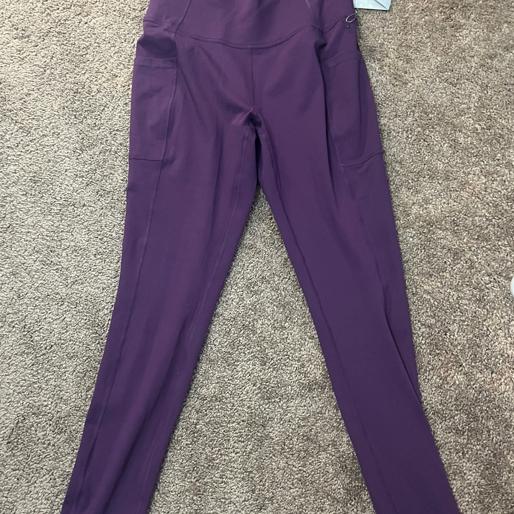 Aritzia Plum High-Waisted Leggings